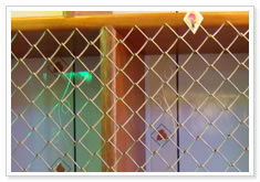 decorative wire mesh